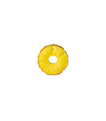 Ananas the pineapple