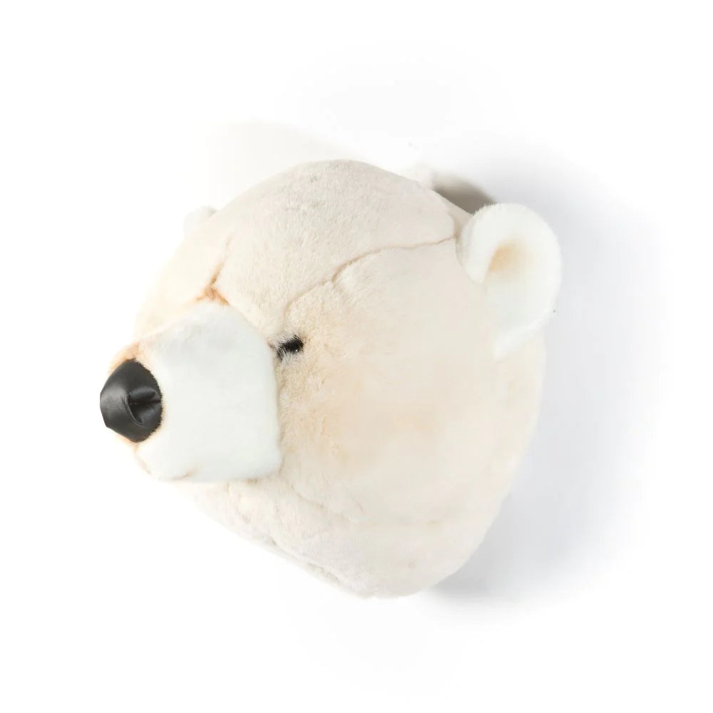 Head Bear White Basile
