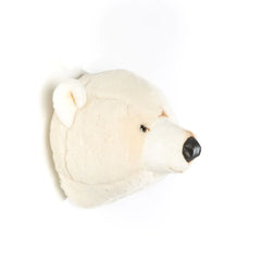 Head Bear White Basile