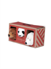 Bear box: set of 3 small heads (b.bear/panda/w.bear) w/box