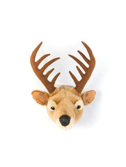 Head Deer Billy
