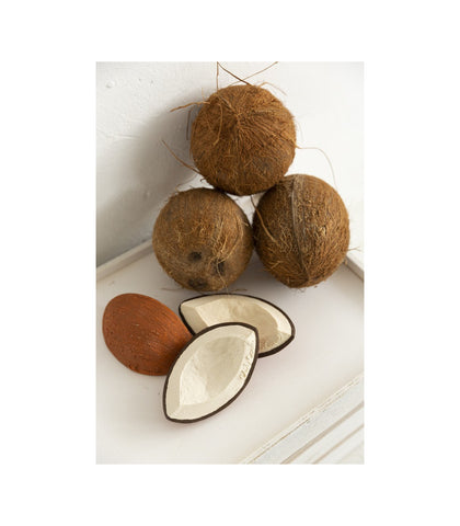 Coco the Coconut