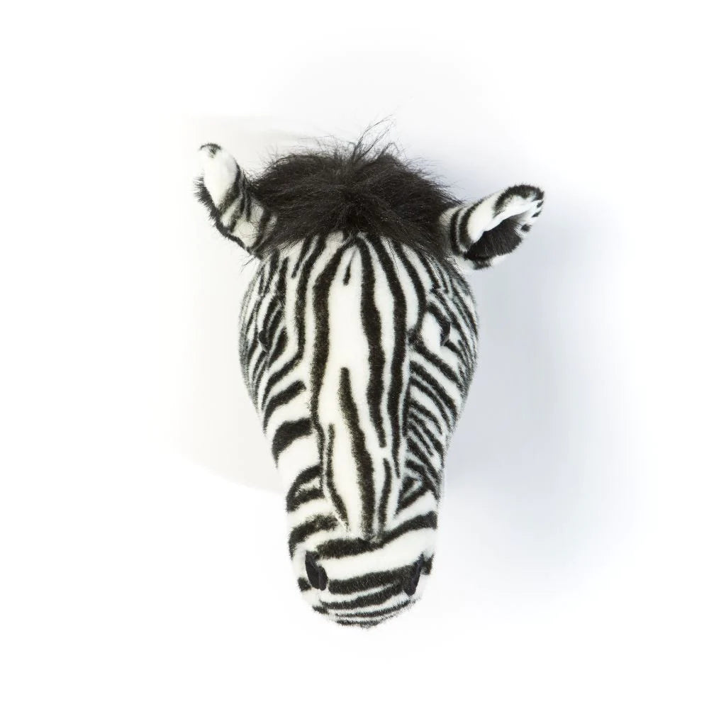 Head Zebra Daniel