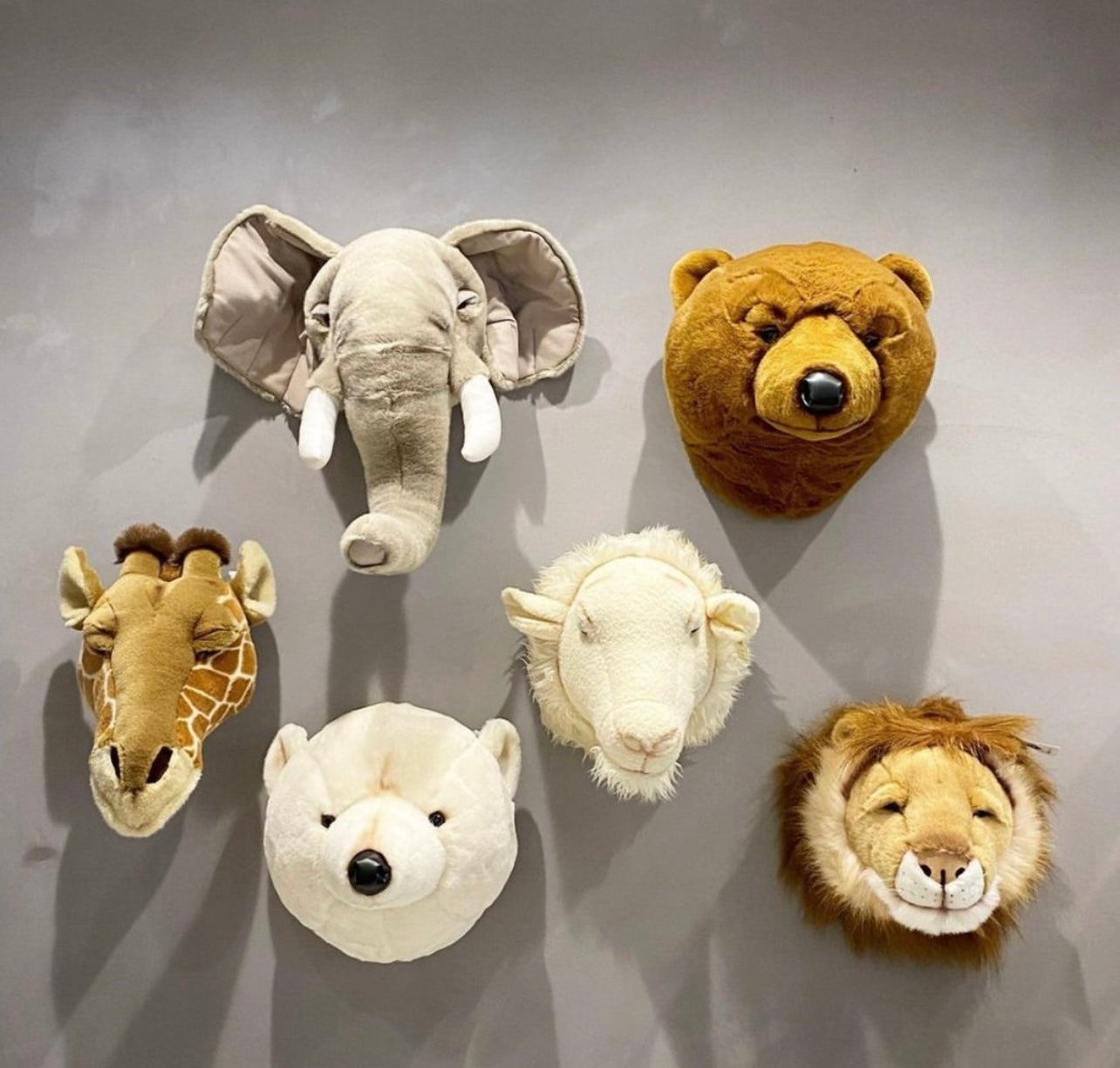 Head Bear White Basile