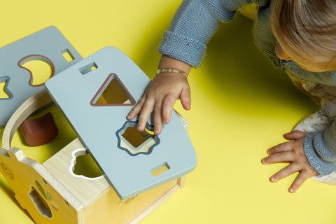House Shape Sorter