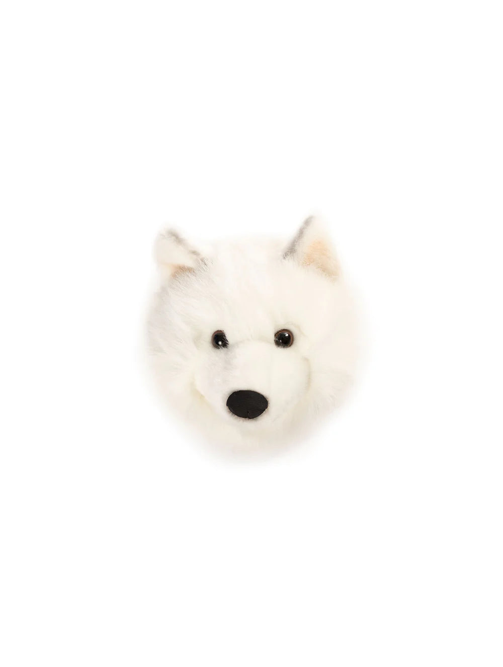 Head White Wolf Lucy