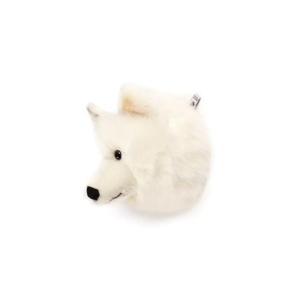 Head White Wolf Lucy