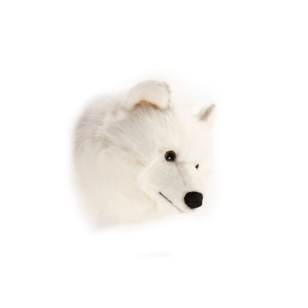 Head White Wolf Lucy