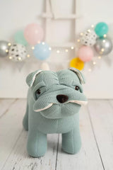 Perro Maxi