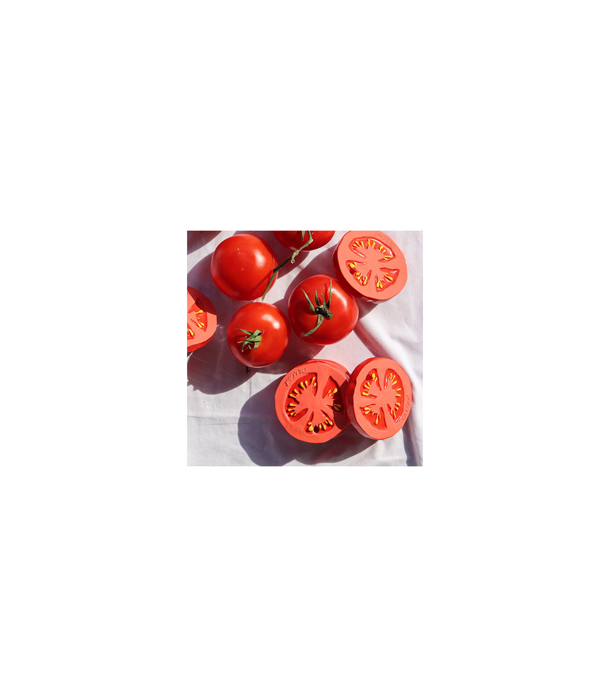 Renato the tomato