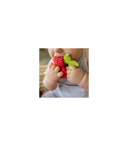 Valery the raspberry
