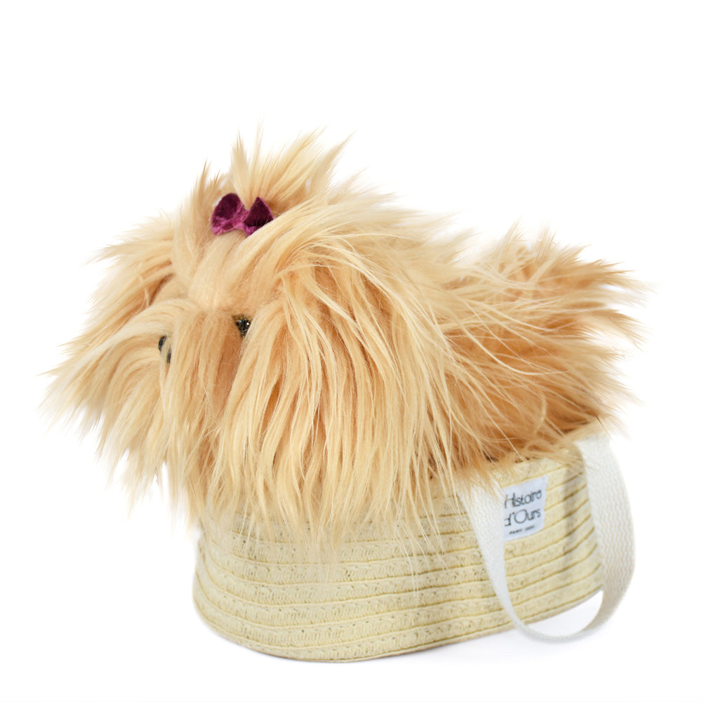 Perro Yorkshire
