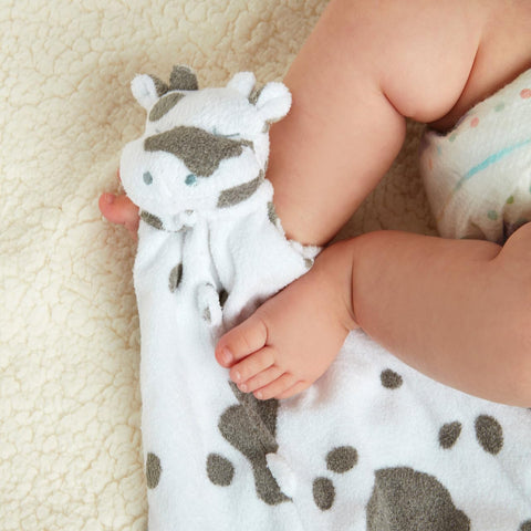 Cow Blankie