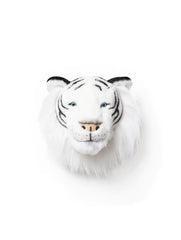 Head White Tiger Albert