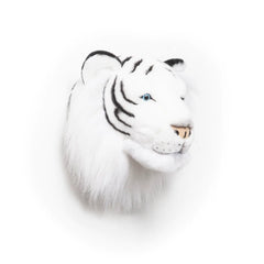 Head White Tiger Albert