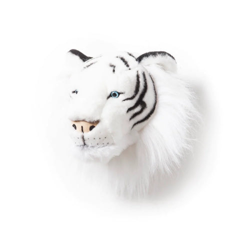 Head White Tiger Albert