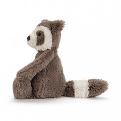Bashful Raccoon Medium