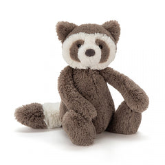 Bashful Raccoon Medium