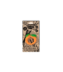 Cathy the Carrot