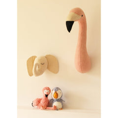 Semi Flamingo