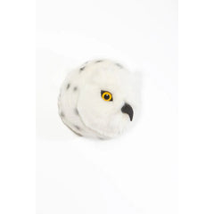 Head Snowy Owl Chloe