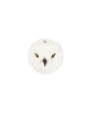 Head Snowy Owl Chloe