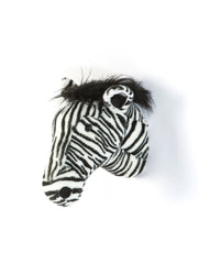 Head Zebra Daniel