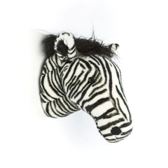 Head Zebra Daniel