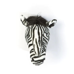 Head Zebra Daniel