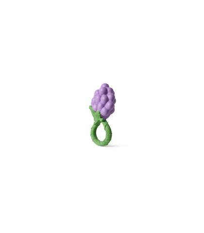 Grape Rattle Toy