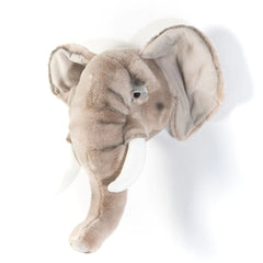 Head Elephant George