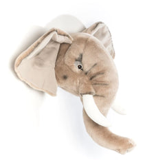 Head Elephant George