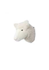 Head Sheep Harry