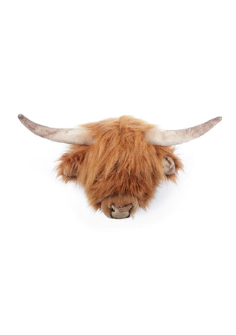 Head Highland Cow Nicolas