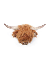 Head Highland Cow Nicolas