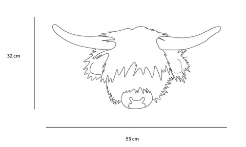 Head Highland Cow Nicolas