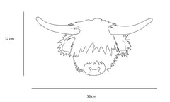 Head Highland Cow Nicolas