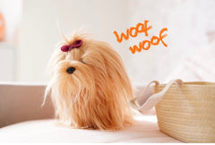 Perro Yorkshire