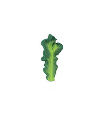 Kendall the kale