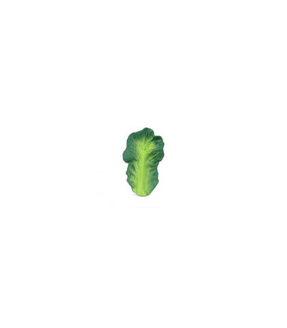 Kendall the kale