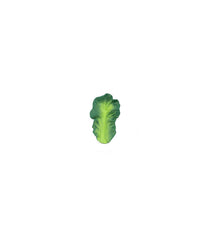 Kendall the kale