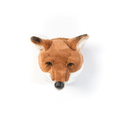 Head Fox Louis