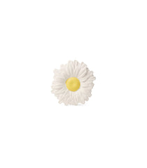Margarita the Daisy