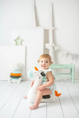 Pegaso Mini
