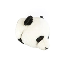 Head Panda Thomas