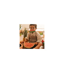 Wally the watermelon