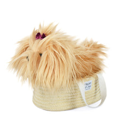 Perro Yorkshire