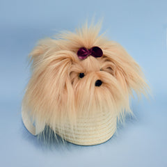 Perro Yorkshire
